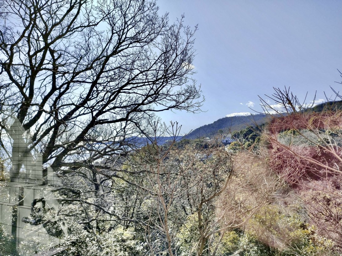 マリンステージ熱海アネックス｜静岡県・熱海｜景色