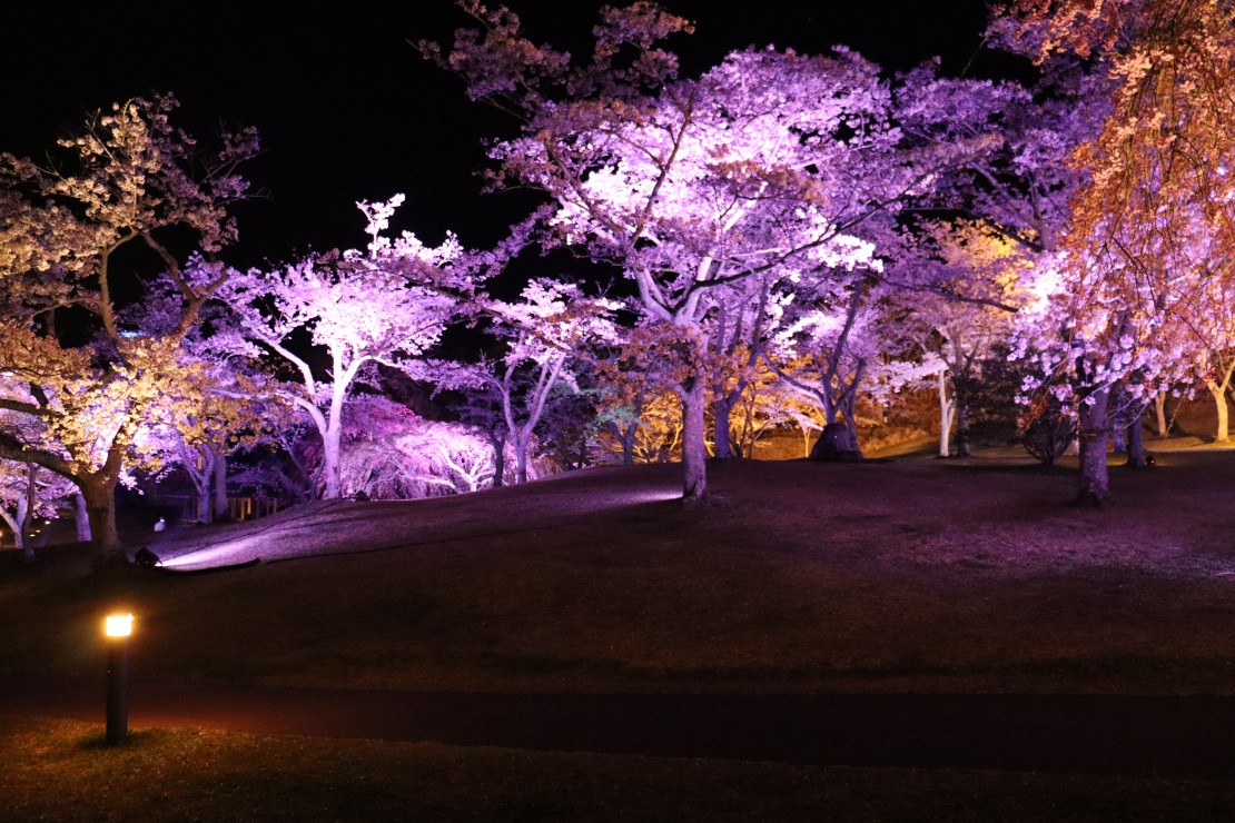 テルメ伊豆（旧　伊豆イグジット中央館）｜静岡県・中伊豆｜詳細13