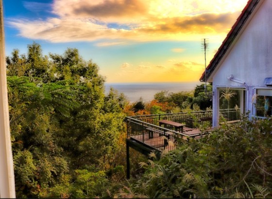 静岡県 東伊豆の貸別荘・コテージ｜オーシャンフロント伊豆の写真：海が近いコテージ