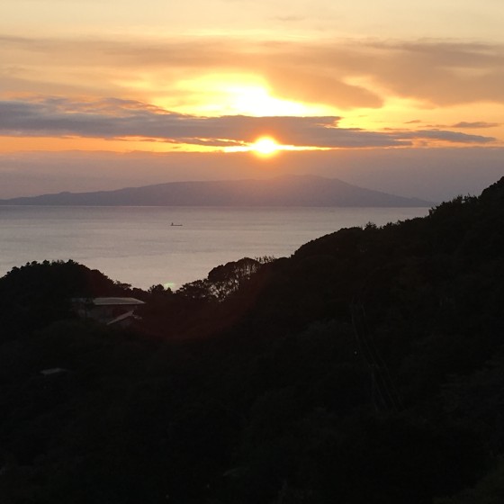 静岡県 東伊豆の貸別荘・コテージ｜ATAGAWA　キャロットハウスの写真：海が近いコテージ
