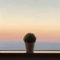 Shining Blue IZU（シャイニングブルー伊豆）