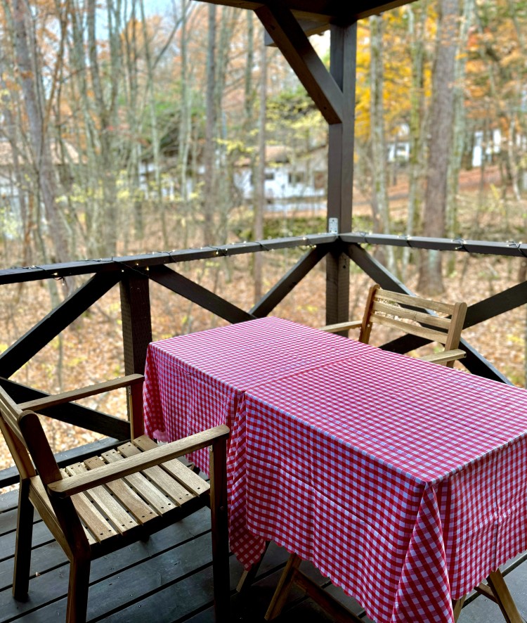 群馬県 北軽井沢・嬬恋・万座のコテージ｜Second House ホッポッタの写真：お天気の心配なし！屋根付きウッドデッキ
