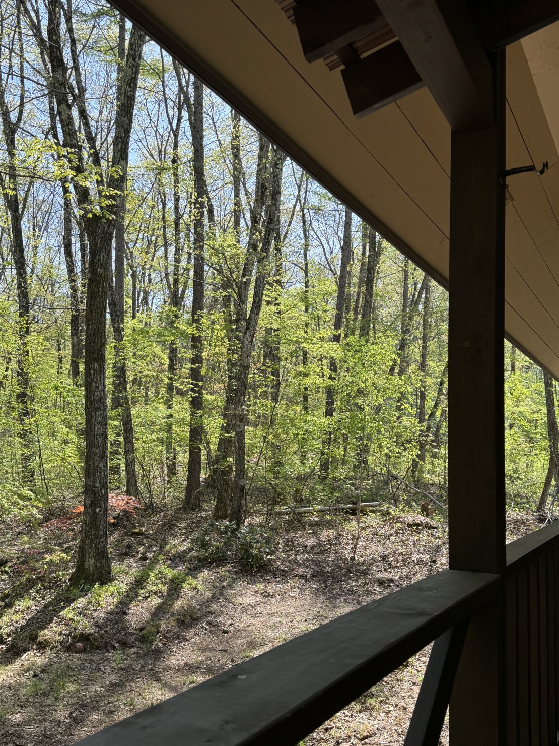 Second House ホッポッタ｜群馬県・北軽井沢・嬬恋・万座｜北軽井沢の森の中の静かなプライベート空間で、存分にリフレッシュしてください。