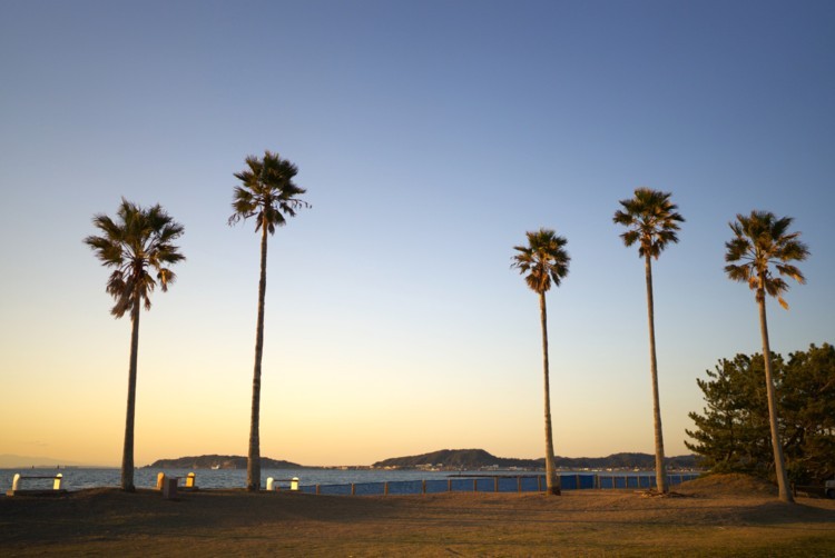 RE:VER北条｜千葉県・館山・南房総｜夏は人気の海水浴場として賑わう北条海岸