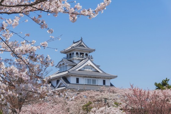 千葉県 館山・南房総の貸別荘・コテージ｜RE:VER北条：桜