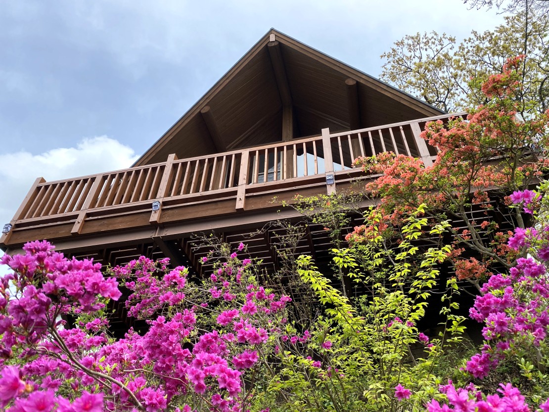 南箱根タントンハウス｜静岡県・中伊豆｜ログハウス外観正面