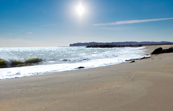 千葉県 勝浦・鴨川の貸別荘・コテージ｜BOTH ISUMI：カップル