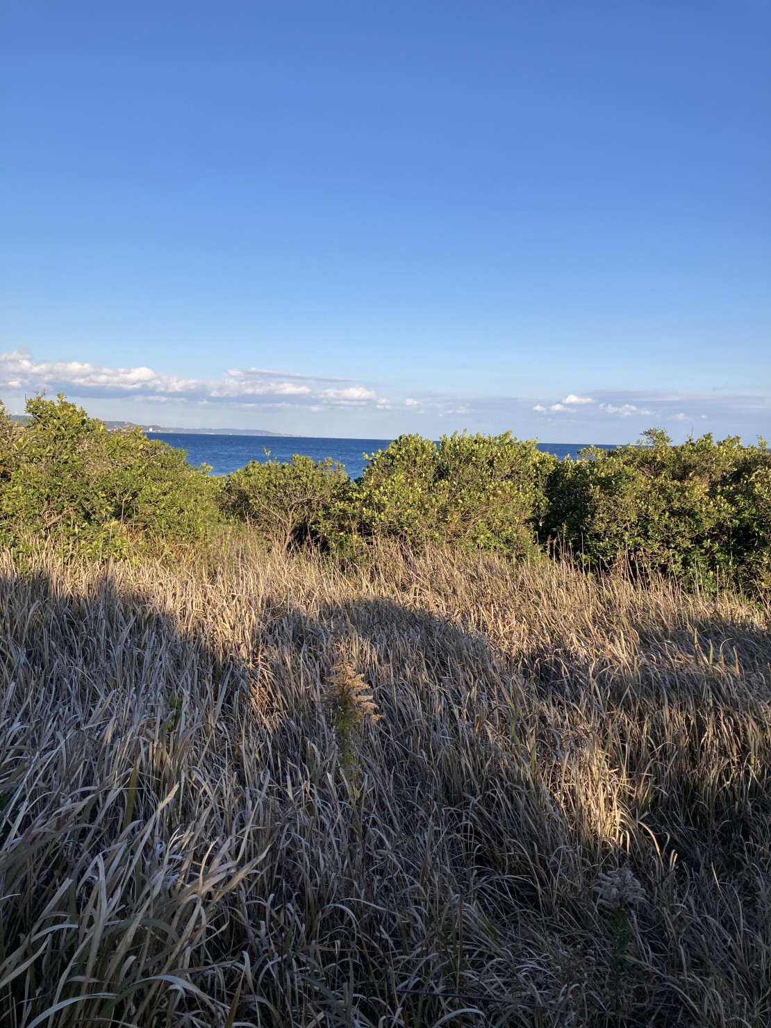 ocean villa mint｜千葉県・館山・南房総｜小道を抜けると青い海が広がります
