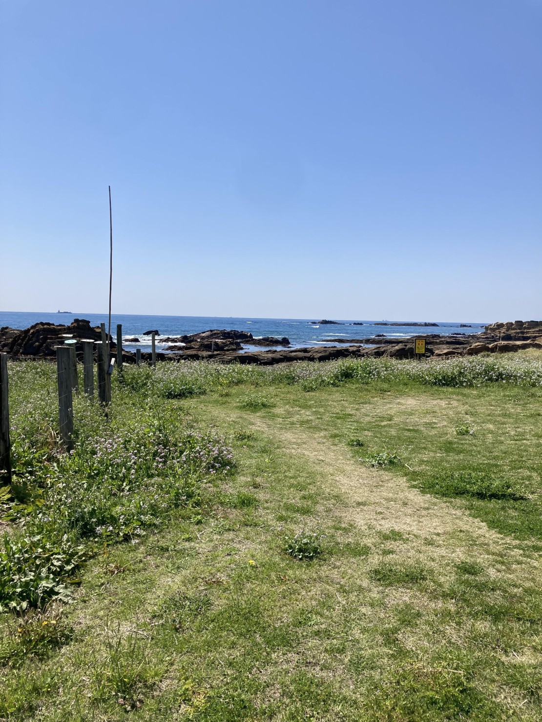 ocean resort mint｜千葉県・館山・南房総｜徒歩５分のところに磯があり、子供と磯遊びできちゃいます。