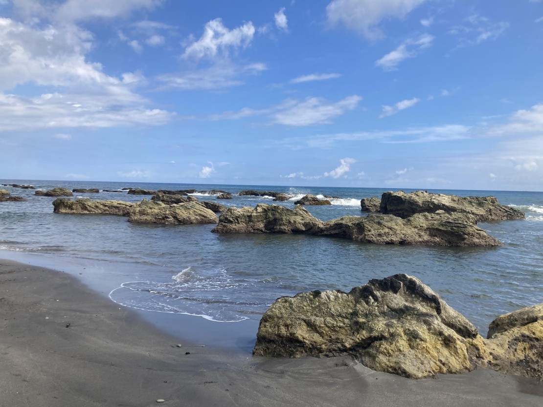 ocean view mint｜千葉県・館山・南房総｜岩場には小さい魚がいろいろいます。