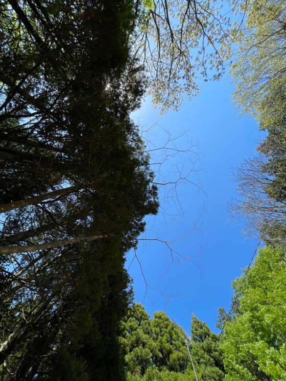 茨城県 霞ヶ浦・土浦・鹿島・潮来のグランピング｜Osoto Sauna & Glamping：絶景