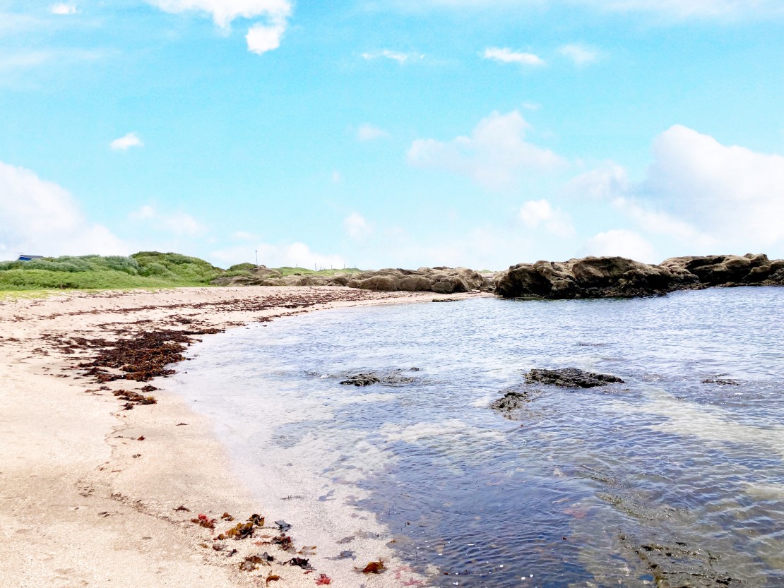 ocean kids mint｜千葉県・館山・南房総｜車で3分分の根本海水浴場