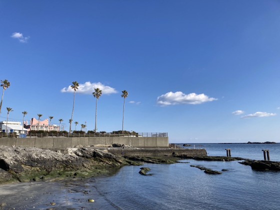 千葉県 館山・南房総の貸別荘・コテージ｜ocean kids mint：リゾート