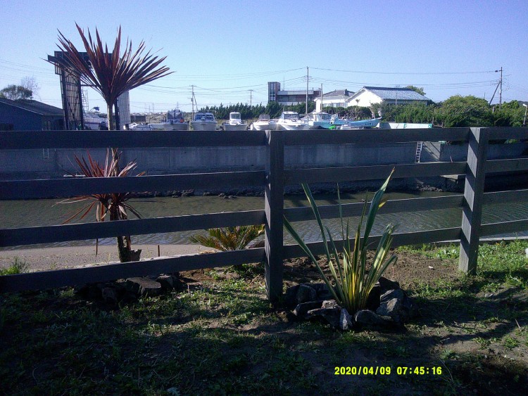 千葉県 木更津・君津・富津のコテージ｜大貫時間の写真：お庭から