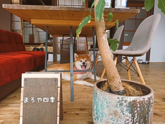 愛媛県 南予・宇和島の貸別荘・コテージ｜まろや四季：ファミリー