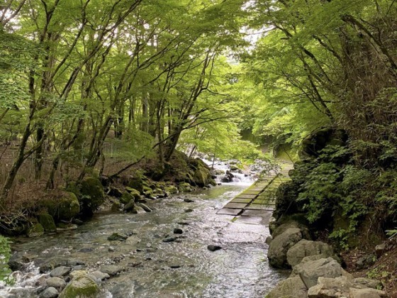 山梨県 大月・都留の貸別荘・コテージ｜SNUG CAMP HOUSE：川遊び