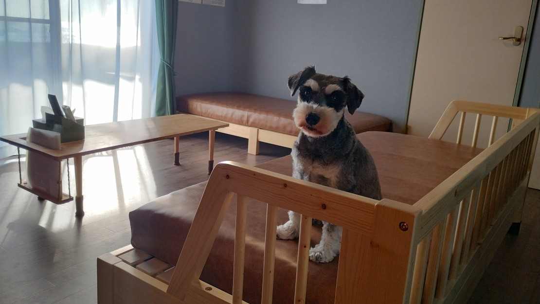 Ocean’ｓ Resort Villa FARBE 路地裏の別荘｜三重県・志摩｜詳細6