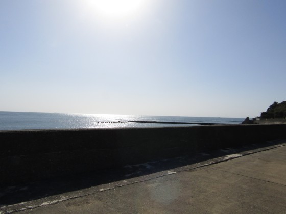 三重県 志摩の貸別荘・コテージ｜Ocean’ｓ Resort Villa FARBE 路地裏の別荘：釣り