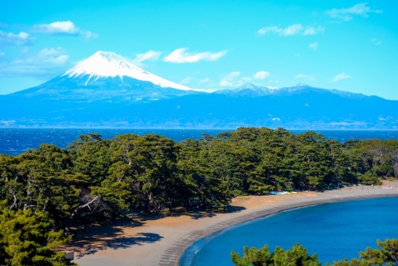 静岡県 伊豆高原の貸別荘・コテージ｜一本のえんぴつ：格安