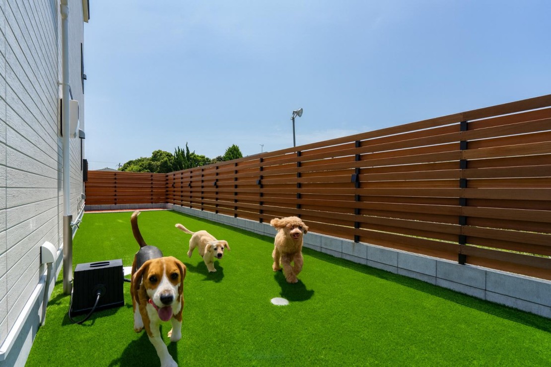 サンライズビラ｜千葉県・九十九里・銚子｜これだけスペースがあればお子さんやペットも存分に走り回れます。
庭はフェンスで囲われているのでペットも安心して遊ばせる事が出来ます