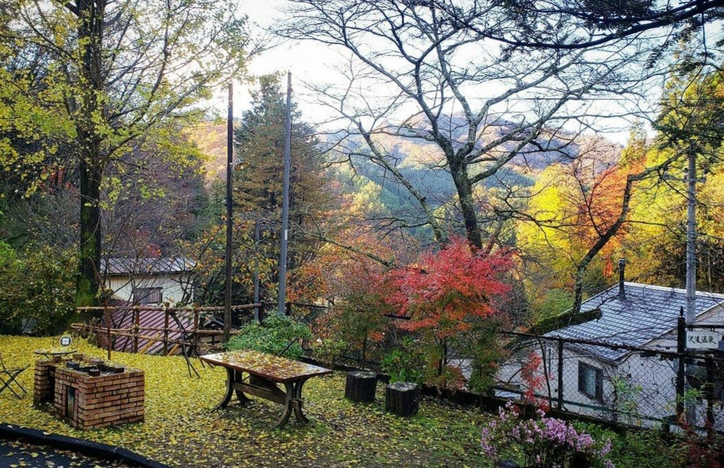 古民家の宿 金木｜群馬県・四万・吾妻・川原湯｜BBQガーデン 秋は銀杏の絨毯に。