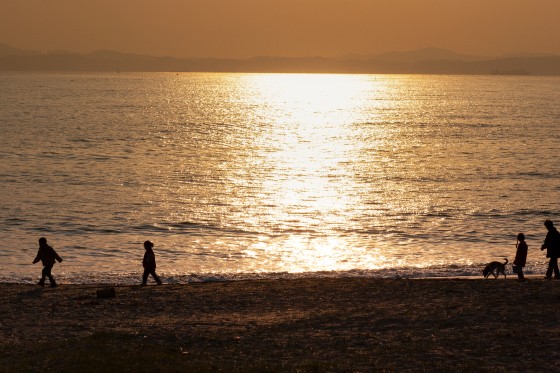 千葉県 木更津・君津・富津のグランピング｜Rivage Blue：ペットOK