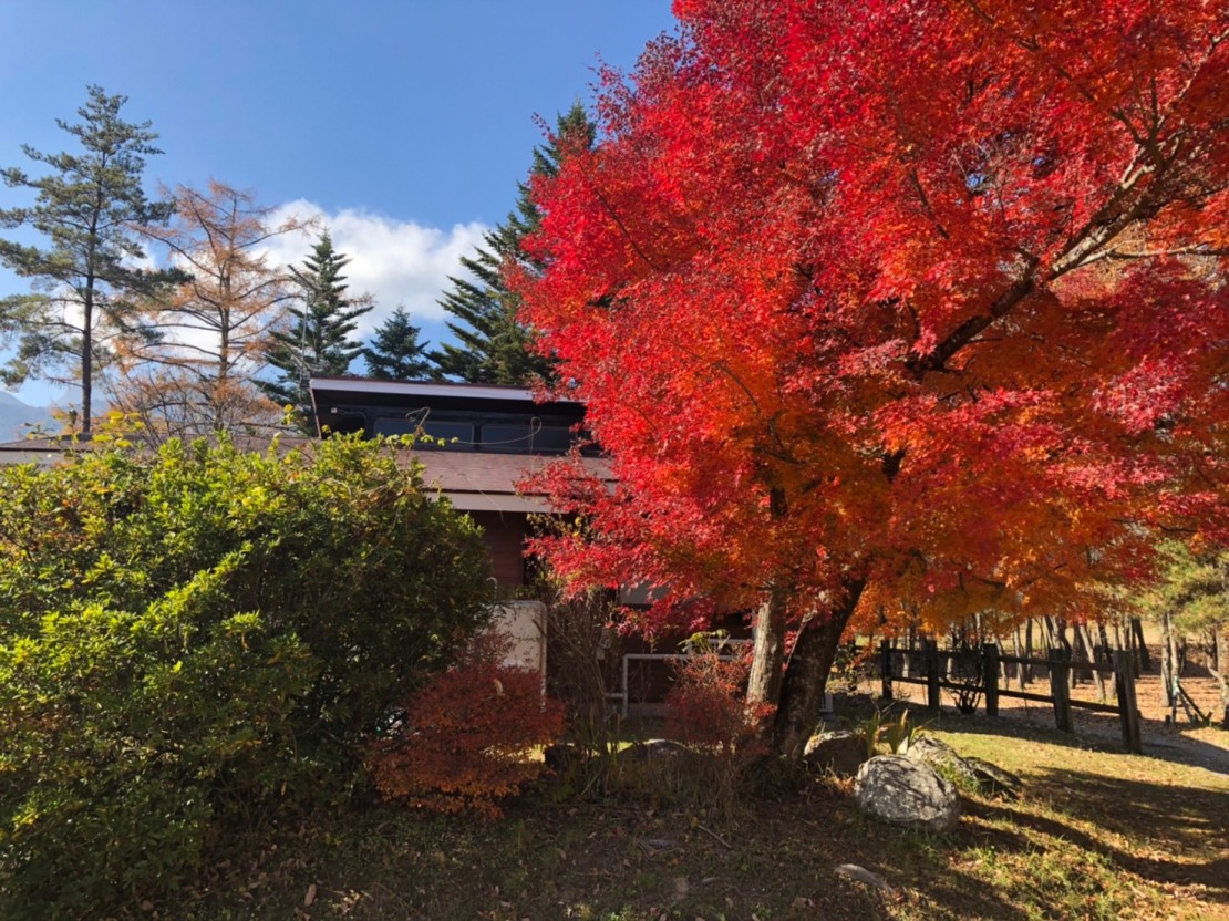 アルプスシャレー｜山梨県・八ヶ岳・清里・小淵沢・大泉｜秋の紅葉