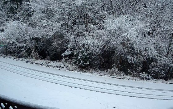 京都府 湯の花・丹波・美山の貸別荘・コテージ｜コテージ遊泊・るり渓：林間