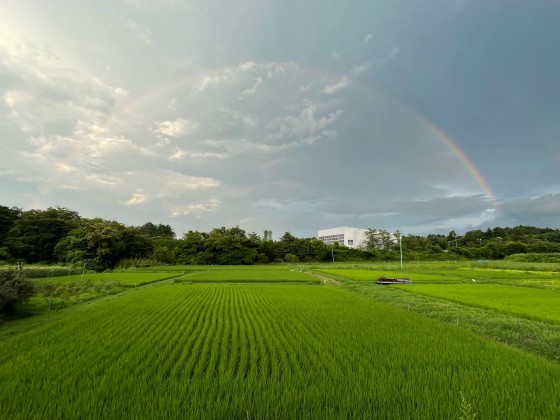 群馬県 北軽井沢・嬬恋・万座の貸別荘・コテージ｜アウトドアアトラクション北軽井沢：ゴルフ