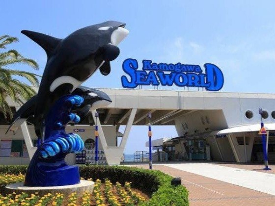 千葉県 勝浦・鴨川の貸別荘・コテージ｜teto：観光