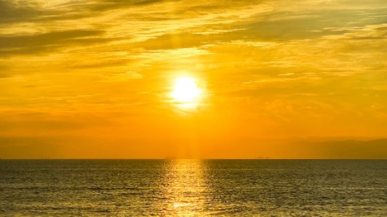 静岡県 伊豆高原の貸別荘・コテージ｜波空-Akazawa-：初日の出