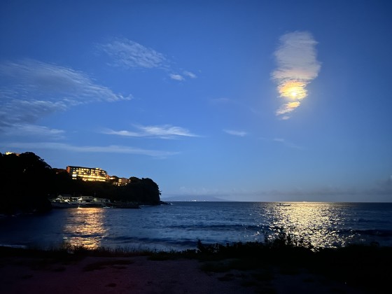 静岡県 伊豆高原の貸別荘・コテージ｜波空-Akazawa-：大人限定