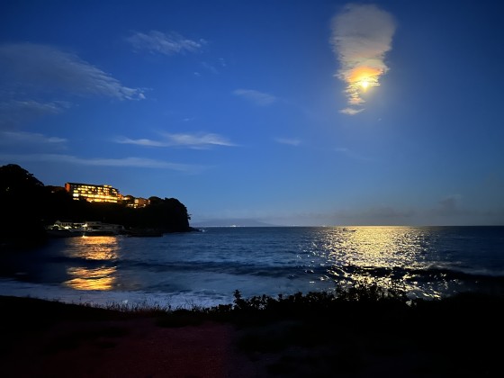 静岡県 伊豆高原の貸別荘・コテージ｜波空-Akazawa-：写真スポット