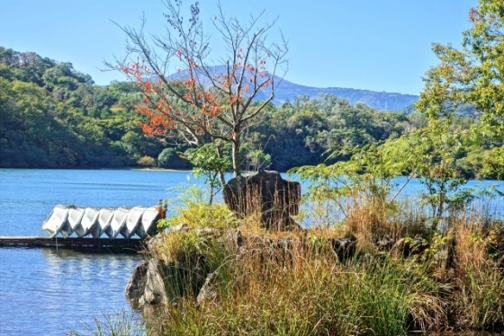 静岡県 伊豆高原の貸別荘・コテージ｜波空-Akazawa-：ハイキング