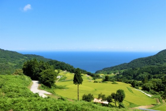 静岡県 伊豆高原の貸別荘・コテージ｜無限館：里山
