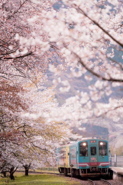 静岡県 伊豆高原の貸別荘・コテージ｜無限館：電車で行ける