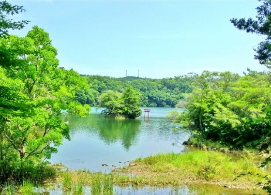 静岡県 伊豆高原の貸別荘・コテージ｜無限館：絶景