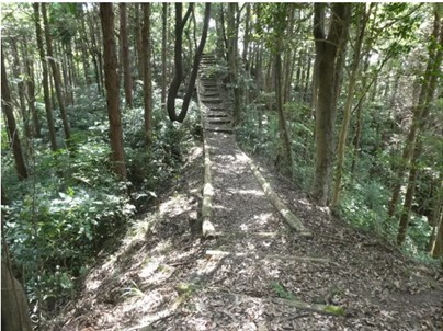 千葉県 勝浦・鴨川の貸別荘・コテージ｜中野屋・母屋：森