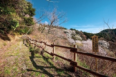 千葉県 勝浦・鴨川の貸別荘・コテージ｜中野屋・母屋：山