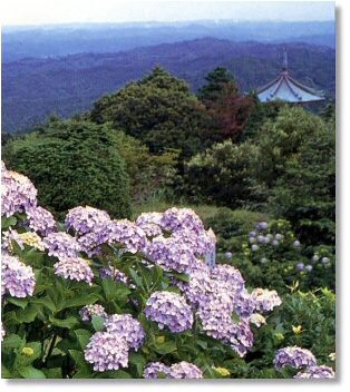 千葉県 勝浦・鴨川の貸別荘・コテージ｜中野屋・母屋：高原