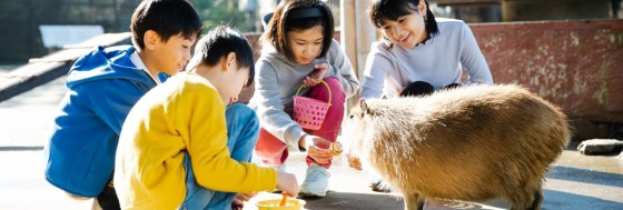 千葉県 勝浦・鴨川の貸別荘・コテージ｜中野屋・母屋：動物ふれあい