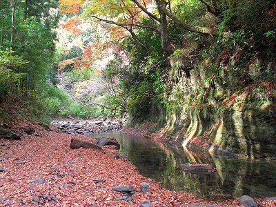 千葉県 勝浦・鴨川の貸別荘・コテージ｜中野屋・母屋：紅葉スポット