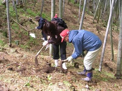千葉県 勝浦・鴨川の貸別荘・コテージ｜中野屋・母屋：味覚狩り