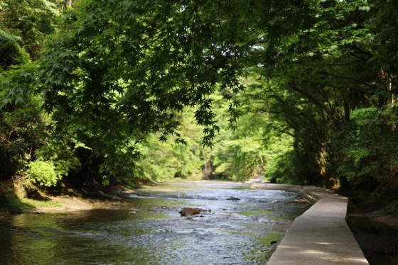 千葉県 勝浦・鴨川の貸別荘・コテージ｜中野屋・母屋：ハイキング