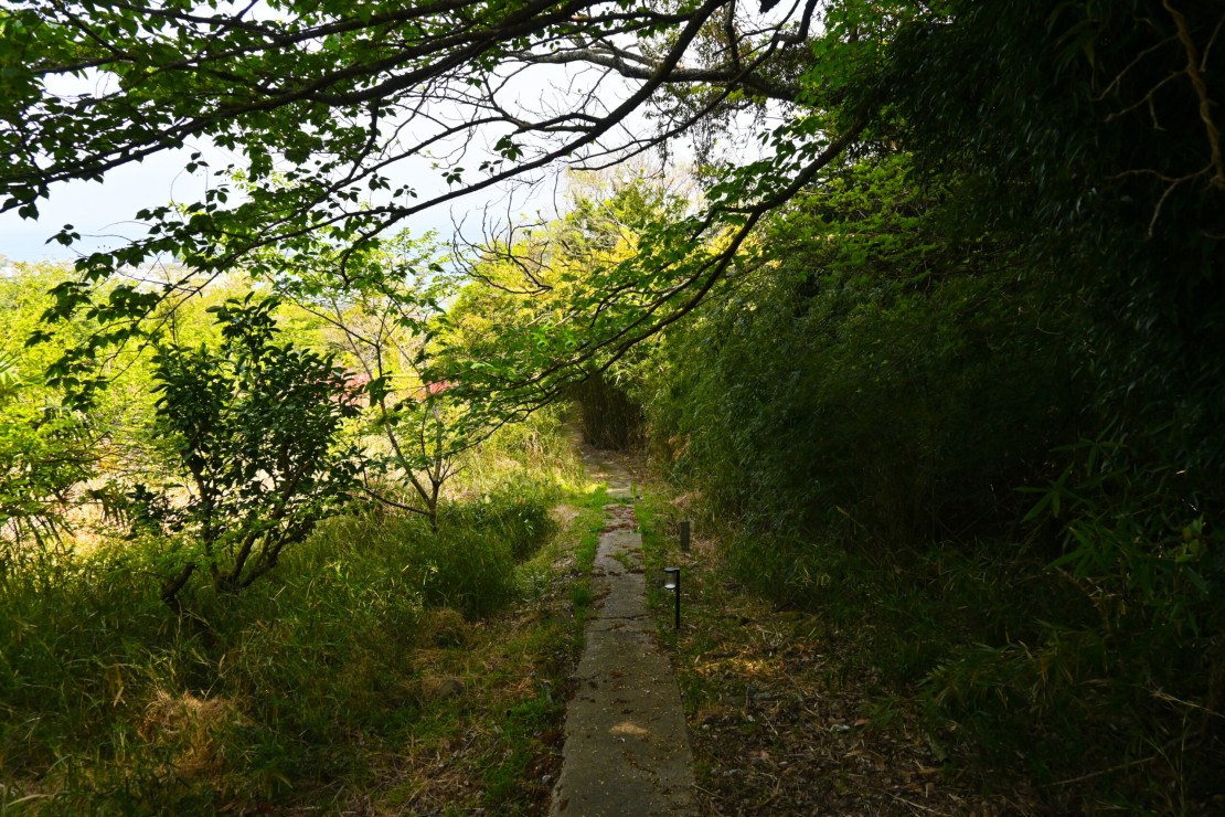 バケーションホーム＆アトリエール VILLA PINECOVE｜千葉県・館山・南房総｜緑のトンネルを抜けると、そこにはプライベートな海岸が広がります。