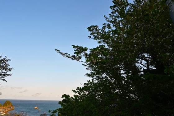 千葉県 館山・南房総の貸別荘・コテージ｜バケーションホーム＆アトリエール VILLA PINECOVE：林間