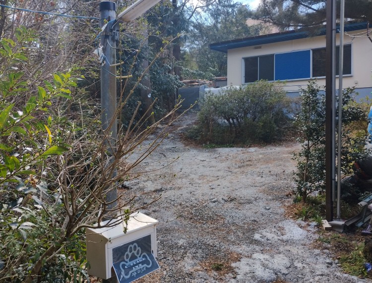 静岡県 伊東・宇佐美・川奈のコテージ｜コテージinZYX（ジィックス）の写真：外観