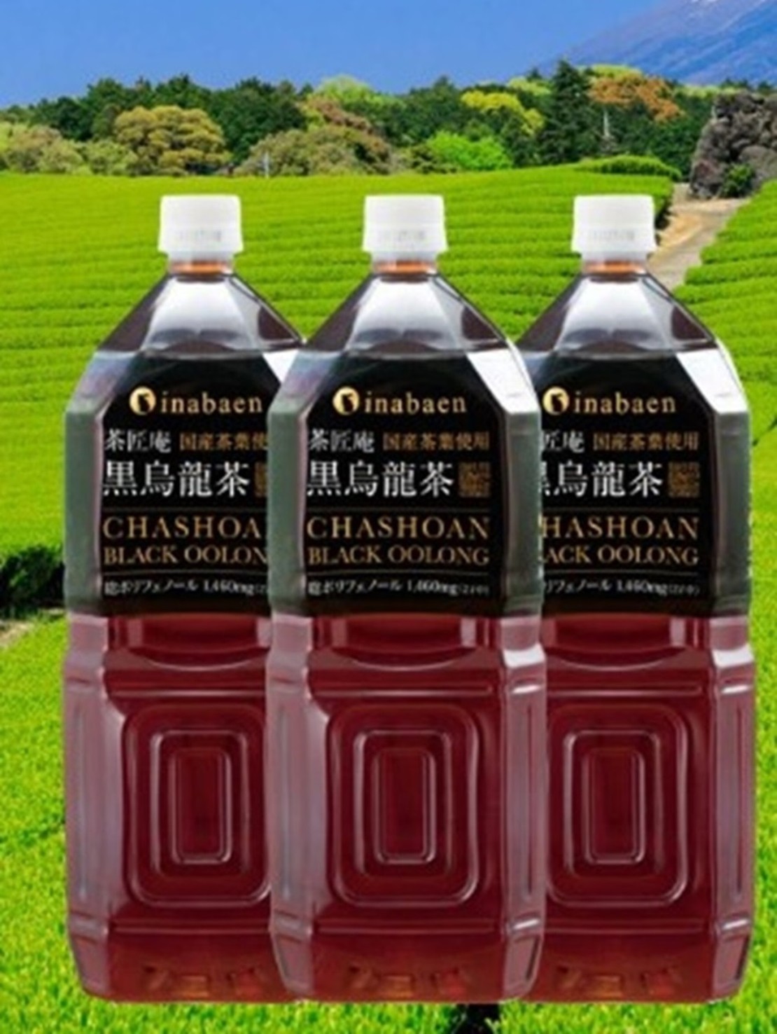 コテージinZYX（ジィックス）｜静岡県・伊東・宇佐美・川奈｜ソフトドリンク無料サービス！