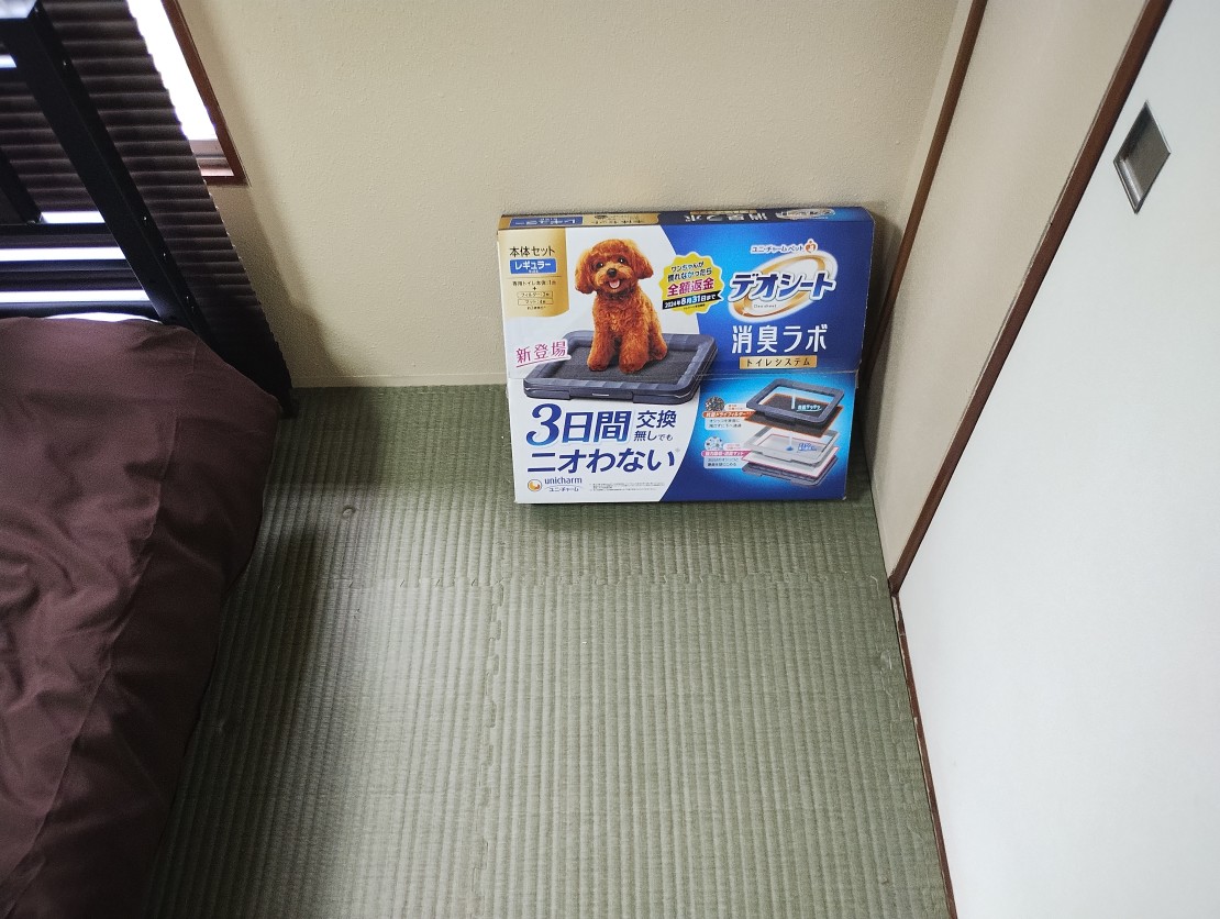 コテージinZYX（ジィックス）｜静岡県・伊東・宇佐美・川奈｜ペットトイレ
他の備品（オムツおやつ）等は御持参ください。