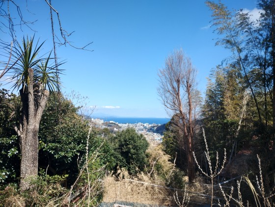 静岡県 伊東・宇佐美・川奈の貸別荘・コテージ｜コテージinZYX（ジィックス）の写真：海が近いコテージ